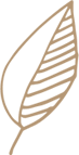 object