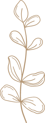 object